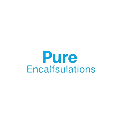 Pure Encapsulations